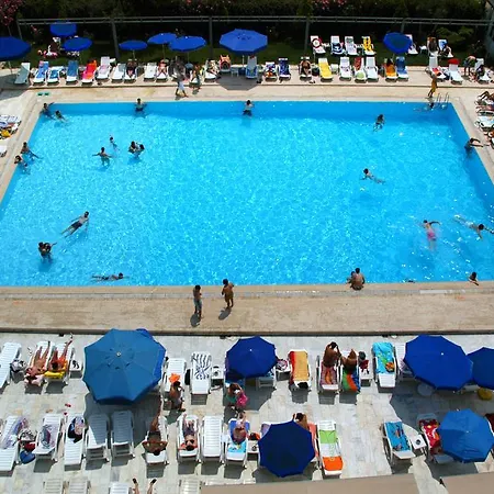 Pelikan ブユックチェクメジェ